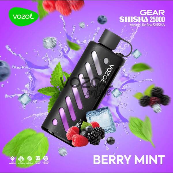 Vozol Gear Shisha 25000 Berry Mint