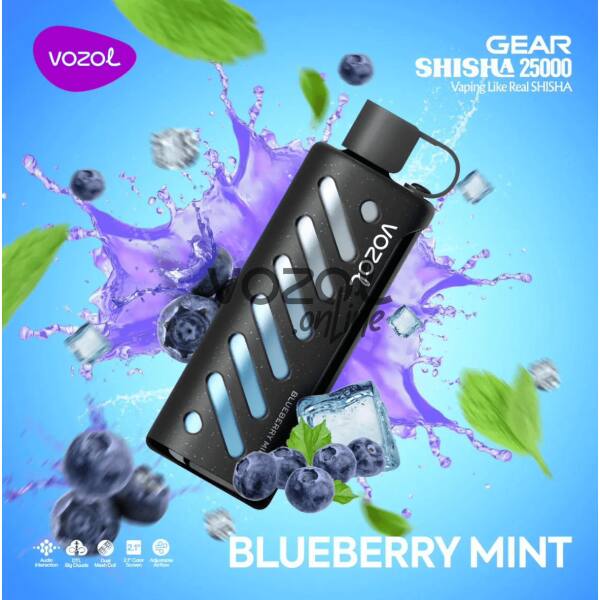 Vozol Gear Shisha 25000 Blueberry Mint