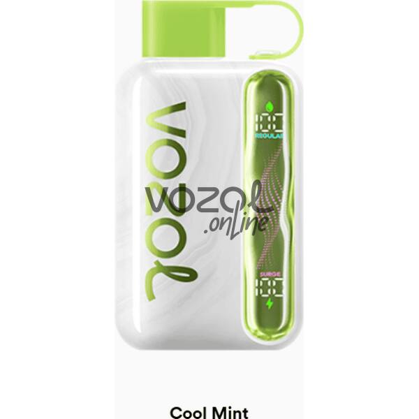 Vozol Star 40000 Cool Mint