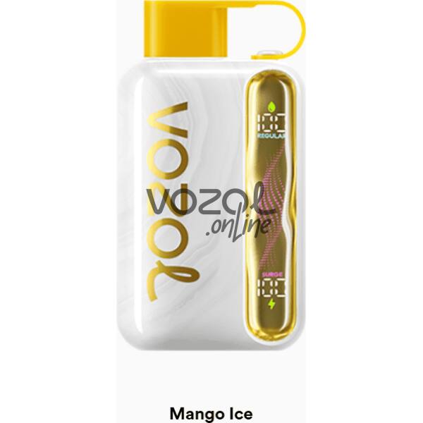 Vozol Star 40000 Mango Ice