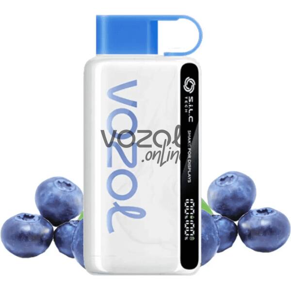 Vozol Star 12000 - Blueberry Storm