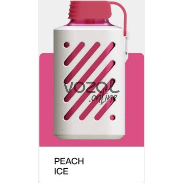 Vozol Gear 10000 Peach ice