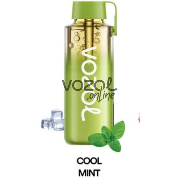 Vozol Neon 12000 PRO Cool Mint
