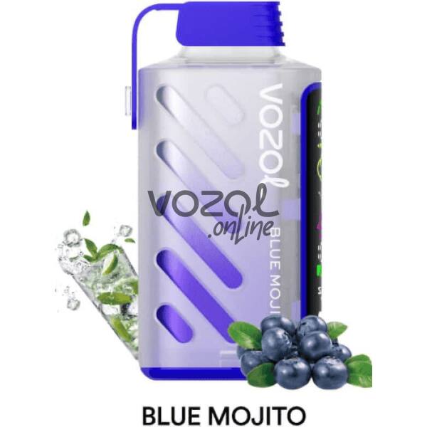 Vozol Gear Power 20000 Blue Mojito
