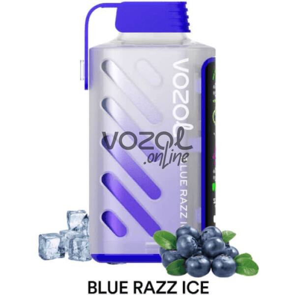 Vozol Gear Power 20000 Blue Razz Ice