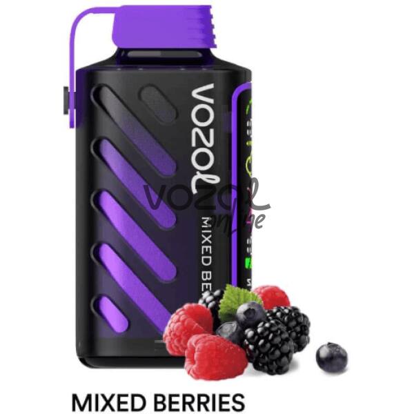 Vozol Gear Power 20000 Mixed Berries