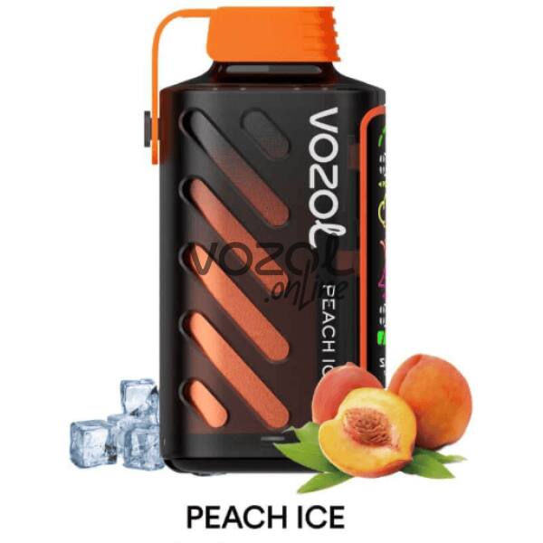 Vozol Gear Power 20000 Peach Ice