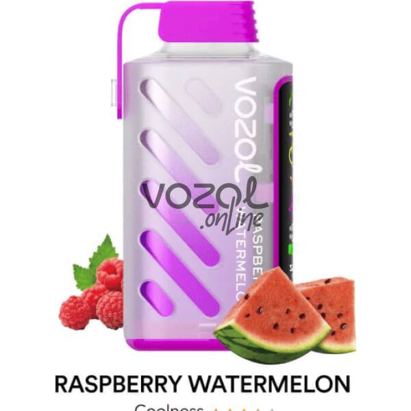 Vozol Gear Power 20000 Raspberry Watermelon